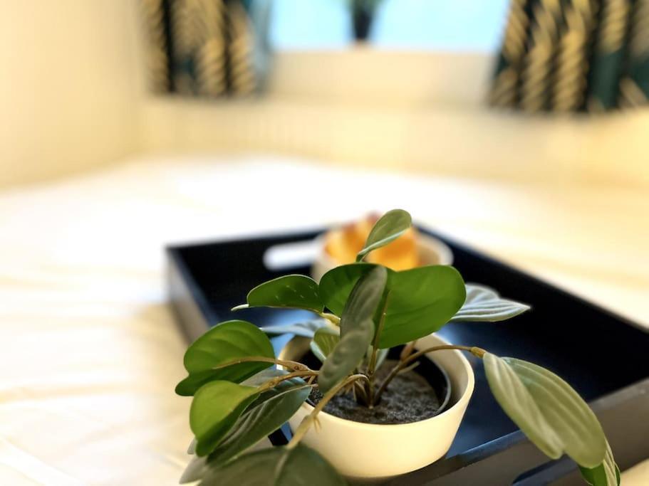 Modern 2 Bed Close To Mall With Parking & Garden Londres Exterior foto